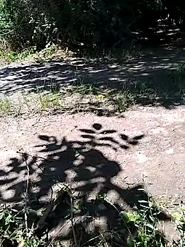 Živý XXX chat hornny_boy35