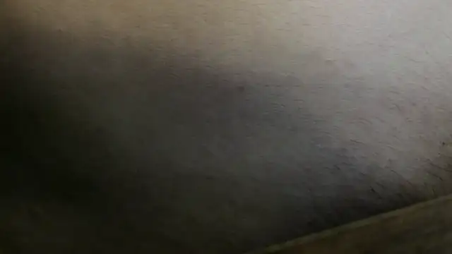MasterDaddyCool XXX чат на живо