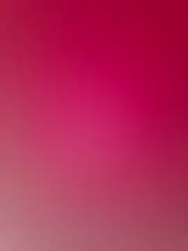 DanteRun Pertunjukan Webcam
