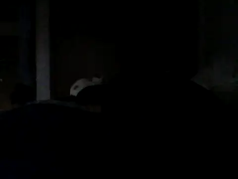 Silencio26 Show in webcam