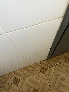 הופעת וובקאם של casadinho_19