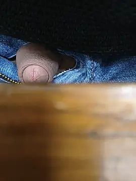 Andreu_4Yn Webbikameraesitys