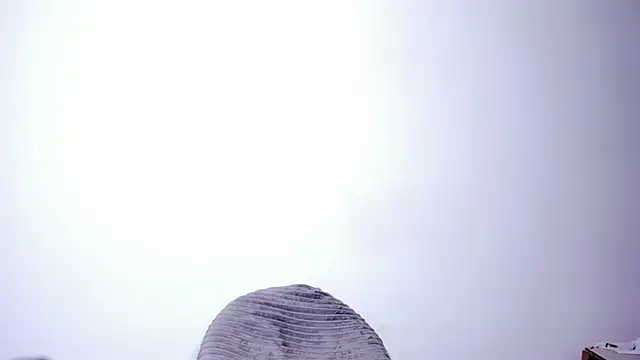 Stefannyevans_ Live XXX-chat