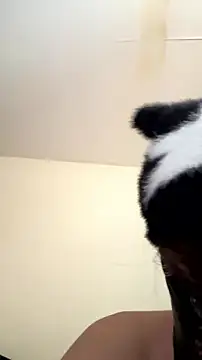 Hz1Tr live XXX chat