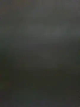TheDime's Live XXX Chat