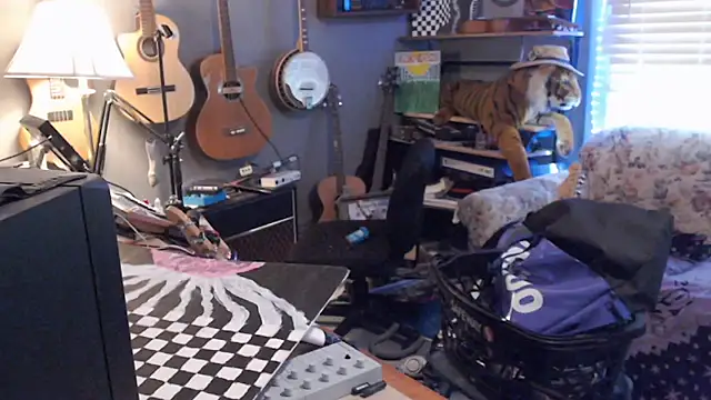 itsjameswebbscope's Webcam Show