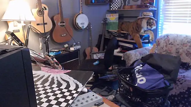 itsjameswebbscope webkamerás műsora