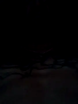 ShawnandDani7074's Webcam Show