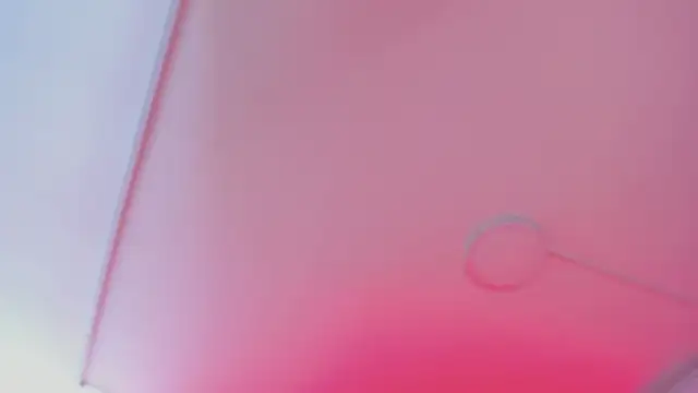 bonnieAn 现场XXX聊天
