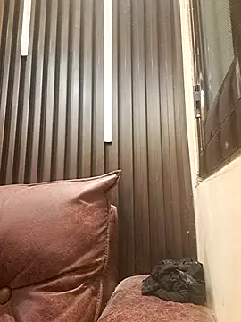 Chat +18 de SHANVII ao vivo
