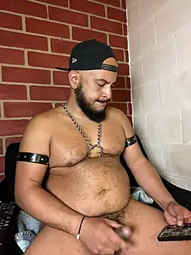 Chat XXX Live the_master_foal_