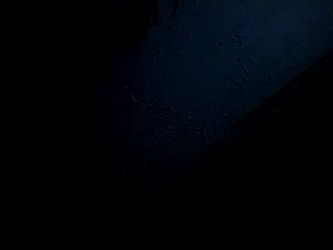Tom4Womans Live XXX-Chat