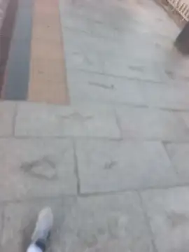PublicMarekFlashDick 웹캠 쇼