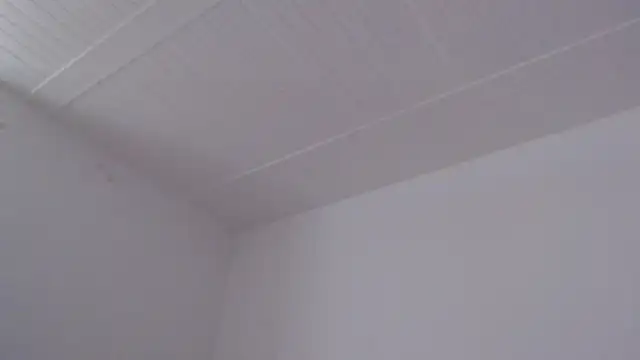 Chat +18 de ElizabethMiler ao vivo