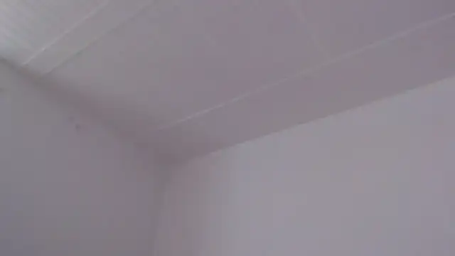 ElizabethMiler Live XXX-Chat