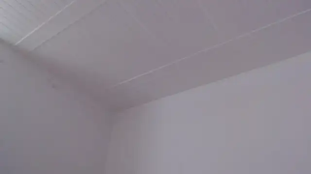 ElizabethMiler's Live XXX Chat