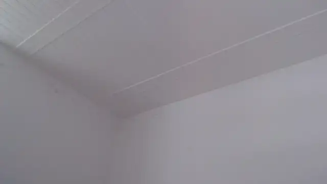 ElizabethMiler XXX чат на живо