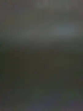 TheDimeのウェブカメラショー