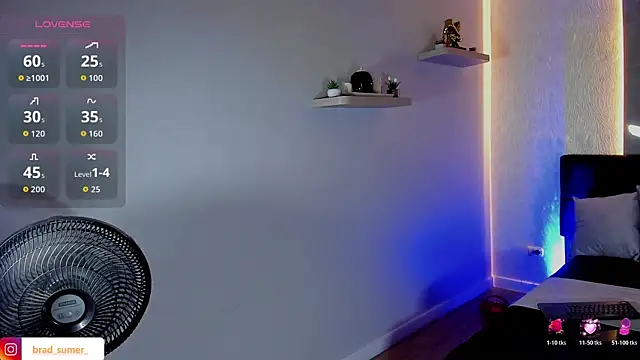 Brad_Summern Webbikameraesitys