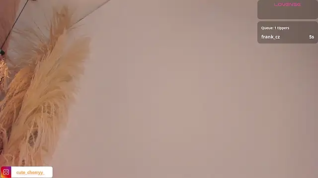 cute__cherry_ লাইভ XXX চ্যাট