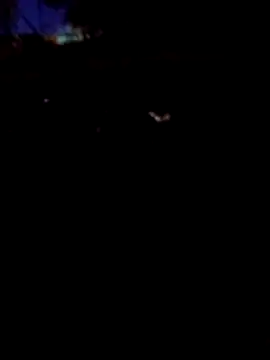 FeloBad 在線直播表演