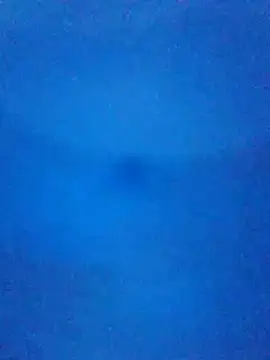 Živý XXX chat tarra122