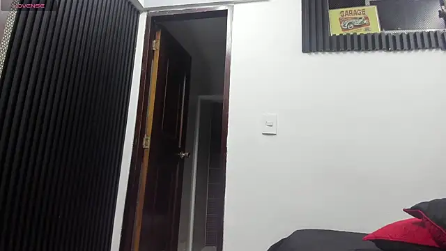 Chat XXX en directo de Robinlion91