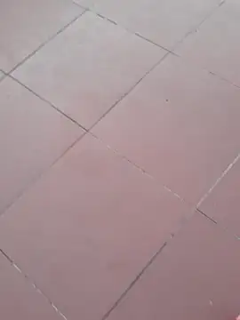Chat +18 de -Tara-a ao vivo