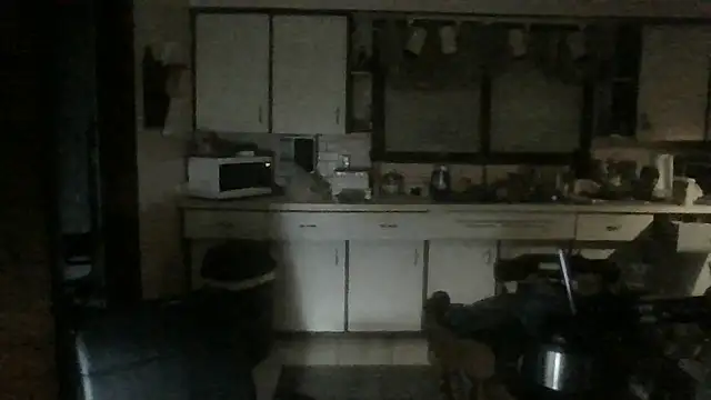 mapsterdaman's Webcam Show