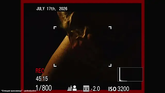 Show webcam de Intellitease