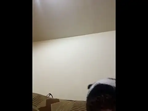 Hz1Tr Live XXX-Chat