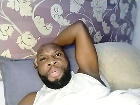 Stallion100 Live XXX-chat