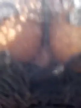 Živý XXX chat streetdoll24