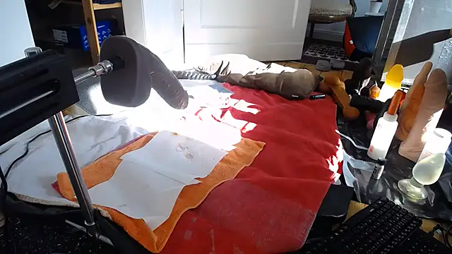 natjuk – Naživo XXX chat