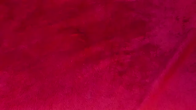 bulma_bambina_'s Live XXX Chat