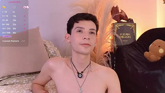Show webcam de VicenteFerrer