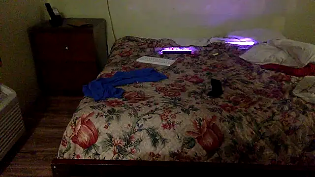 Show webcam de MITB86