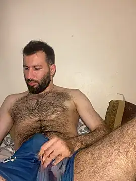 speddy34 现场XXX聊天