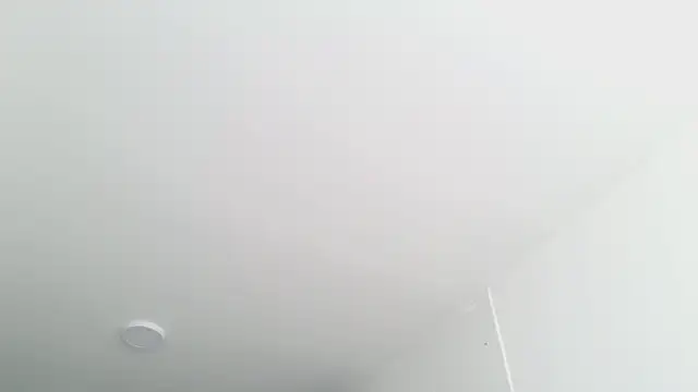 grey___27 élő XXX-chatje