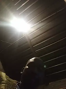 WiseDi Webcam-Show