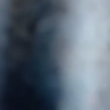 Pichula_rica 网络视讯表演
