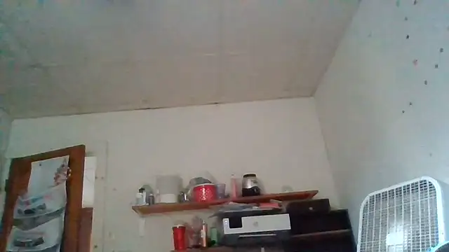 Chatroom XXX en direct de starlight1983