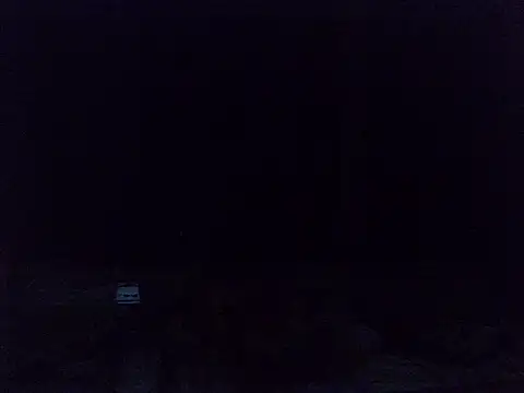 kisskittyX 라이브 XXX 채팅