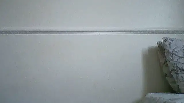 Show webcam de sue_safads