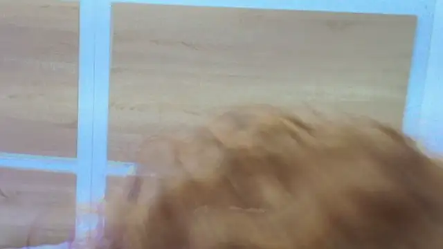 Your_big_ebony_goddness XXX чат на живо