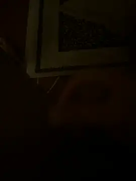 Онлайн чат XXX dragon_ndragos