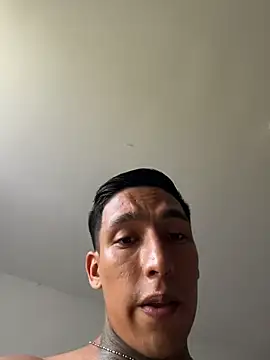 sendfer 即時 XXX 聊天