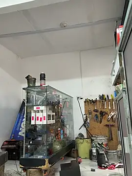 Czat XXX na żywo – Paul22cm-