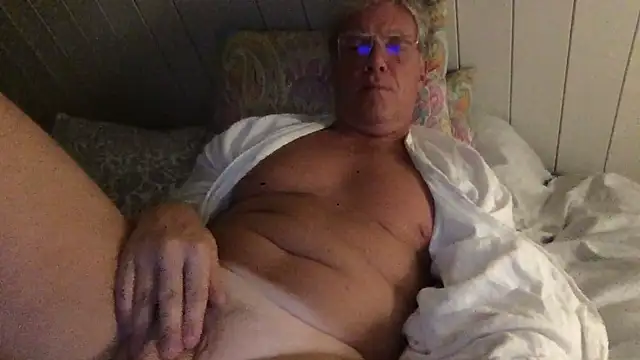 Show modela aldelafont na web-kameri