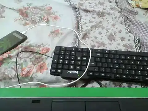 queenzulfa 라이브 XXX 채팅